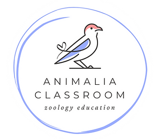 Logo with bird in blue circle with business name Animalia Classroom