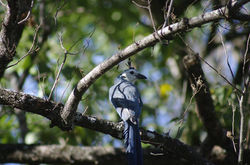 14369974_10157612856135637_7053263436864590249_n