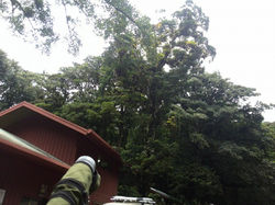 Cloud Forest Ecositeme Nature Tour