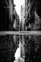 Série sur Londres