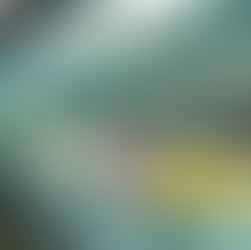 Understanding Online Shopping Rewards