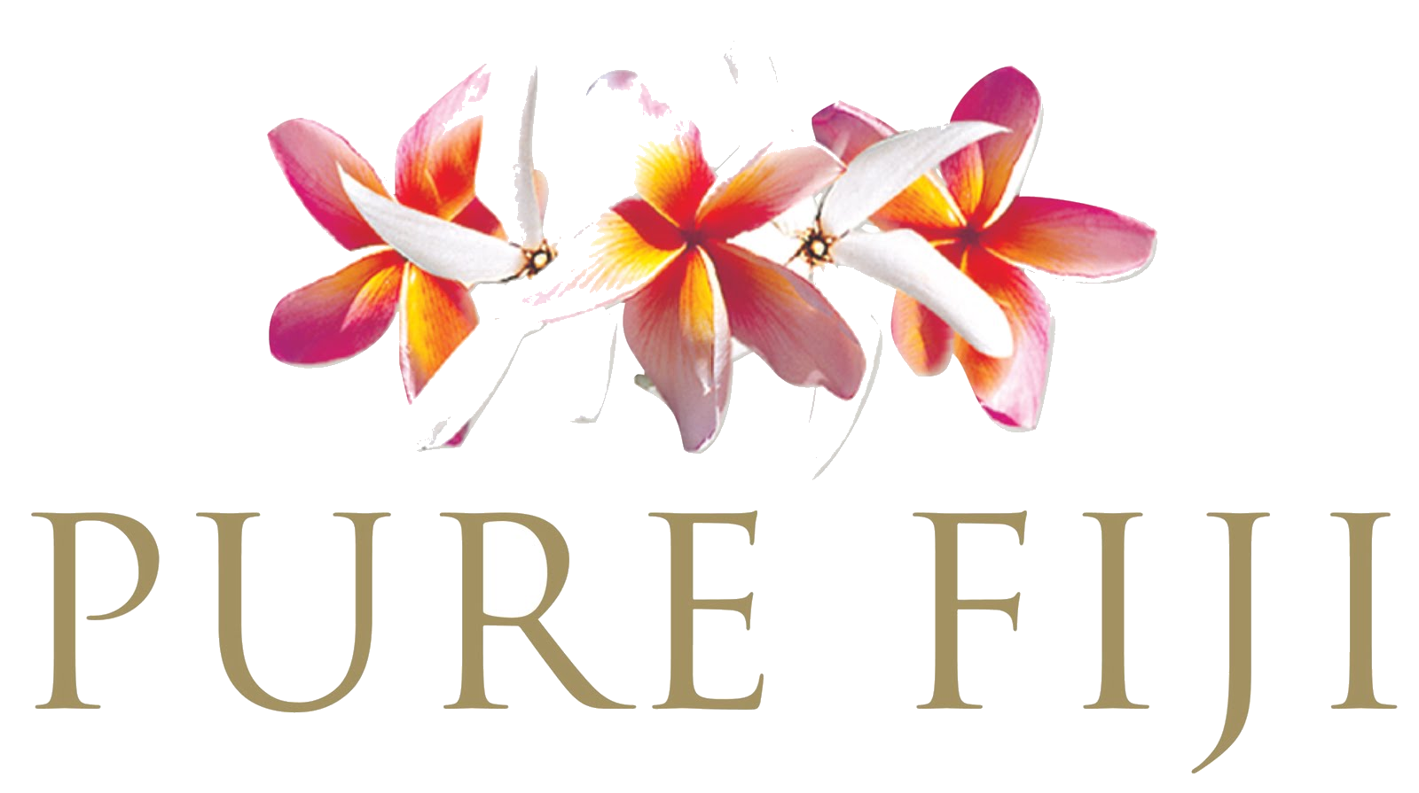 Your local beauty salon Pure Fijian Beauty Redbank Plains