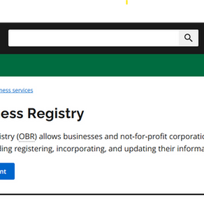 Ontario Business Registry log in page