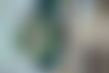 Empleada de Starbucks es despedida por negarse a usar camiseta del orgullo LGBT