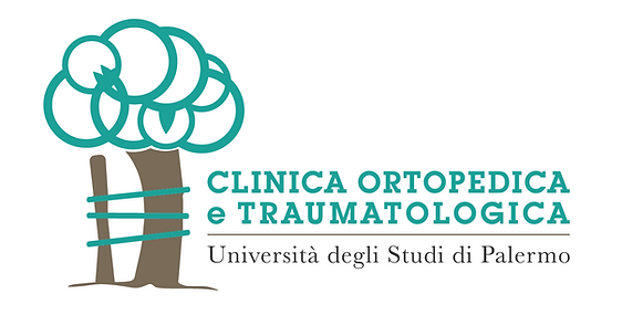 Ortopedico Policlinico Palermo