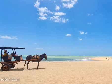 Descobrir o Brasil em 4x4 ou buggy, de Parajuru a Pipa, passando por praias e dunas.