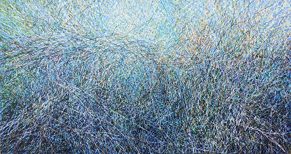 Anaga (El Bosque 1892), 2019