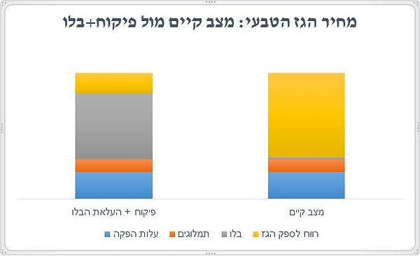 איור 2: מרכיבי מחיר הגז הטבעי