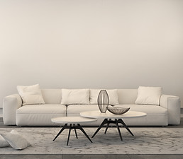 White Living Room