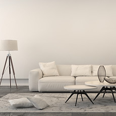 White Living Room