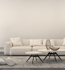White Living Room