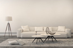 White Living Room