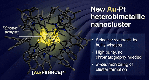 JACS crown 2024.gif
