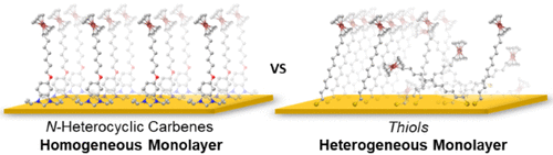 JACS 2024.gif