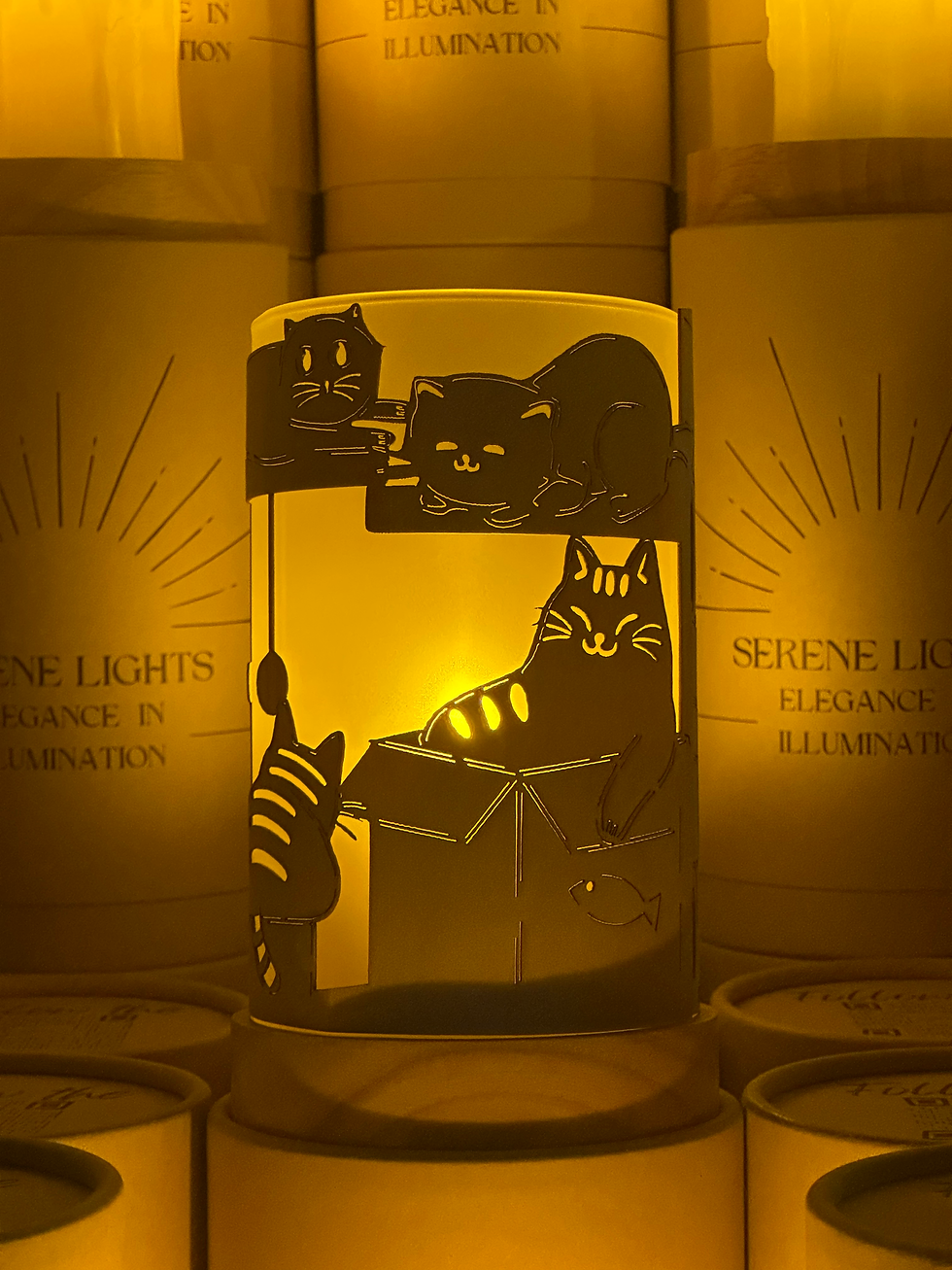 Thumbnail: Cats & Boxes