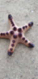 20180408_105726.jpg