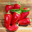 Thumbnail: Pepper 'Santa Fe Grande'