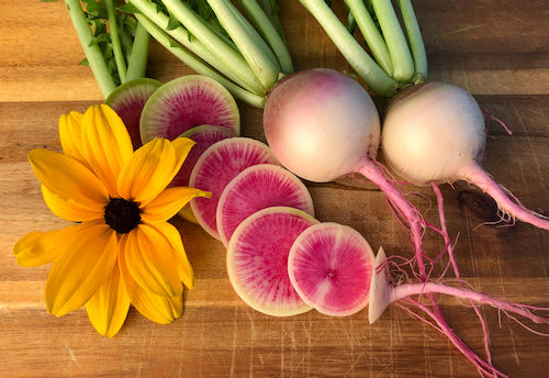 Radish 'Watermelon'