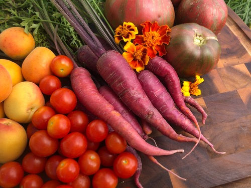 Thumbnail: Carrot 'Cosmic Purple'