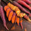 Thumbnail: Carrot 'Cosmic Purple'