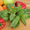 Thumbnail: Basil 'Lettuce Leaf'