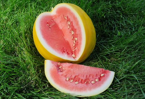 Thumbnail: Watermelon 'Royal Golden'