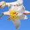 Thumbnail: Lilium regale seeds