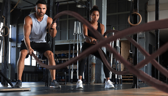 Battleropes in the Gym.png