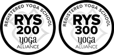 RYS-200-300-trans.png