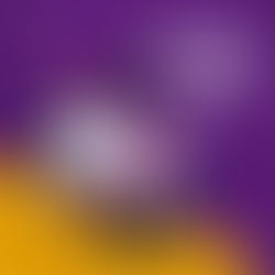 Como evitar fraudes nas vendas pela internet