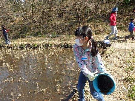 昔ながらの米作り:21年度最終回・堆肥入れ