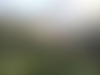 急募！未就学親子自然体験イベント！3/27(土)