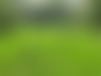 昔ながらの米作り