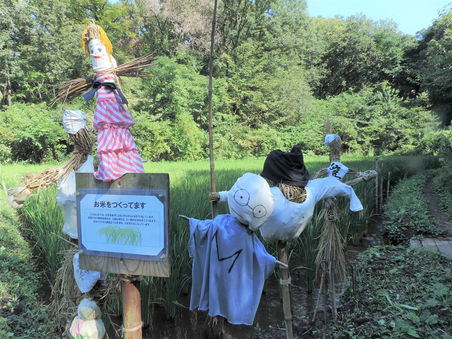 ミニかかしズ集合!