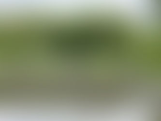 田んぼの畦塗りをしました。