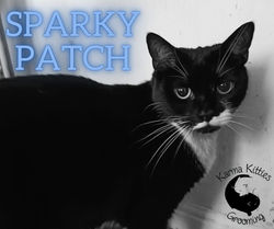 Sparky Patch