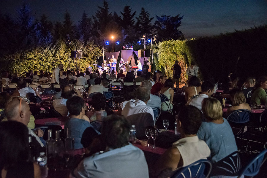 2017-07-22-Vinomusic-048.jpg