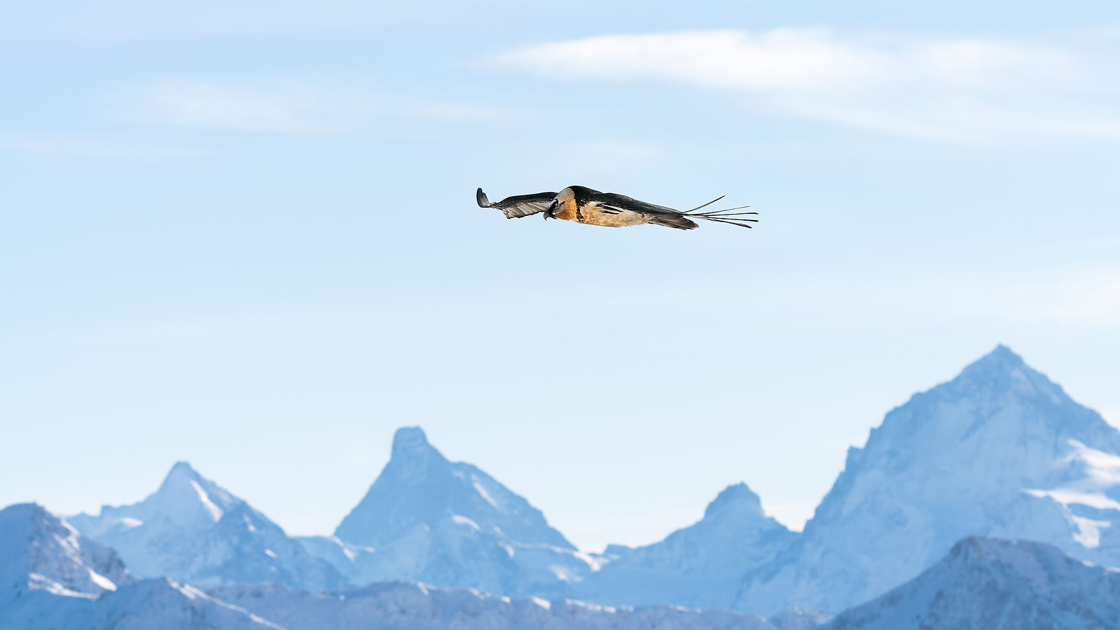 _DSC0954 2-20171231-DxO_DeepPRIME XD2s-4 2.jpg