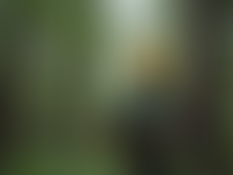 Exploring Careers in Natural Resources: Opportunities and Insights