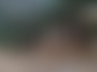 Forest scene for a guided meditation and body scan