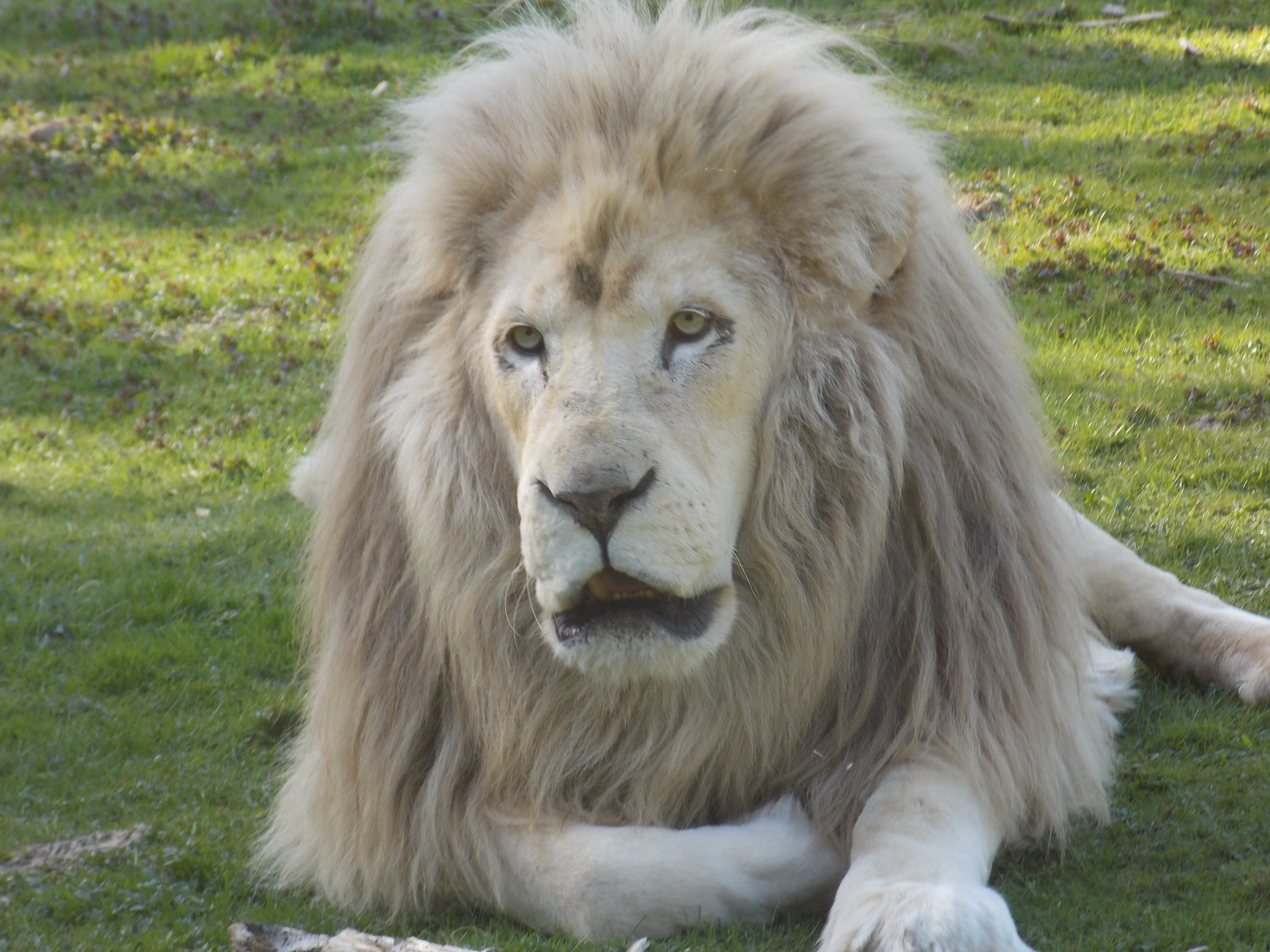zoo