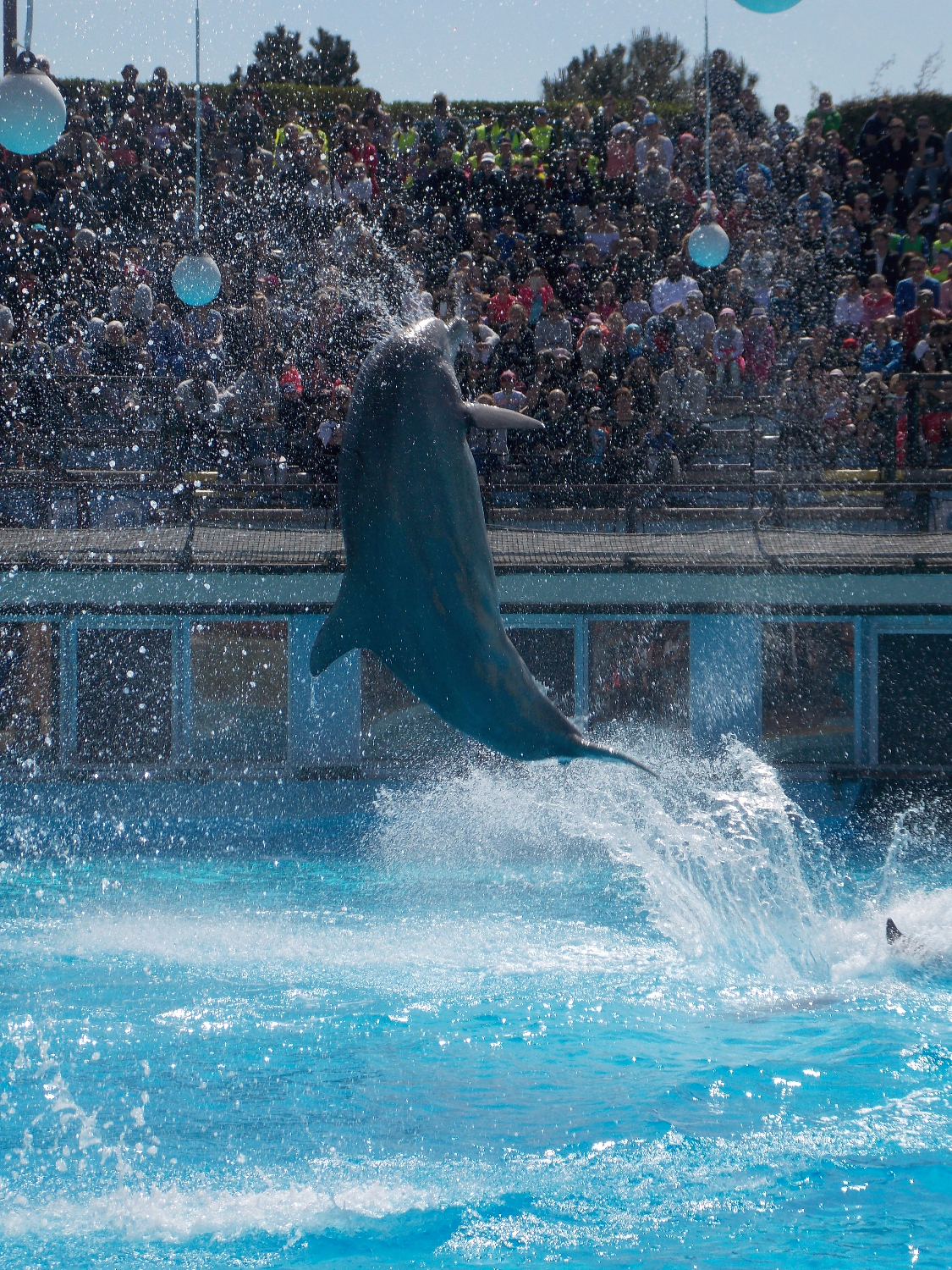 marine land