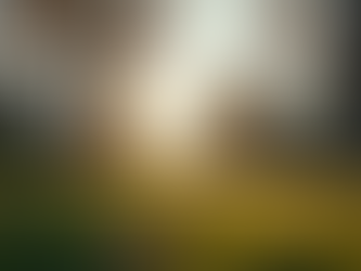 Expert Real Estate Tips for Better Market Navigation