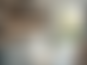 Enhance Property Value with a Professional Home Analysis Service