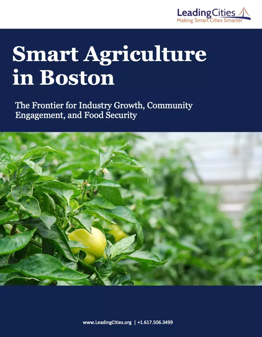 Screenshot 2025-07-02 at 4.20.03_PM.webp