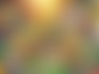 🌱 Food for Thought: The True Cost of Our Diet 🌱