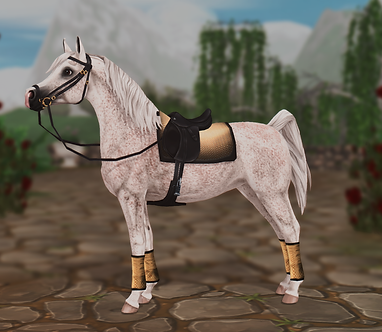 StarStable 2022-11-08 19-58-16.png
