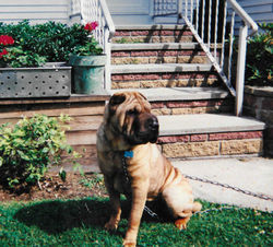 Scan_20260215 (2)_edited