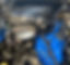 WHIPPLE 2_edited.jpg