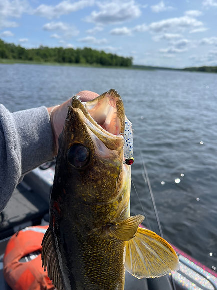 Kabetogama Fishing Guide